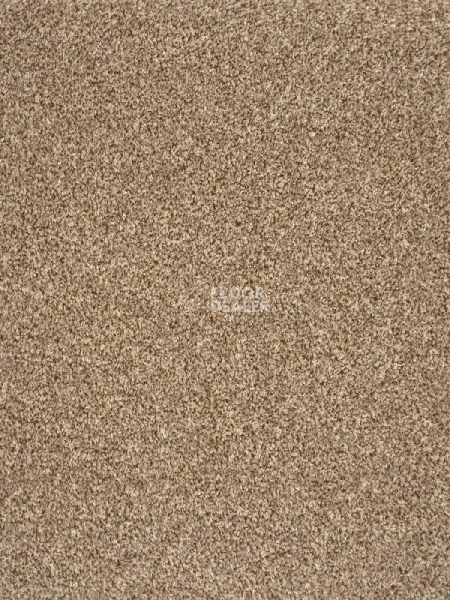 Ковролин AW Terra 42 фото 1 | FLOORDEALER